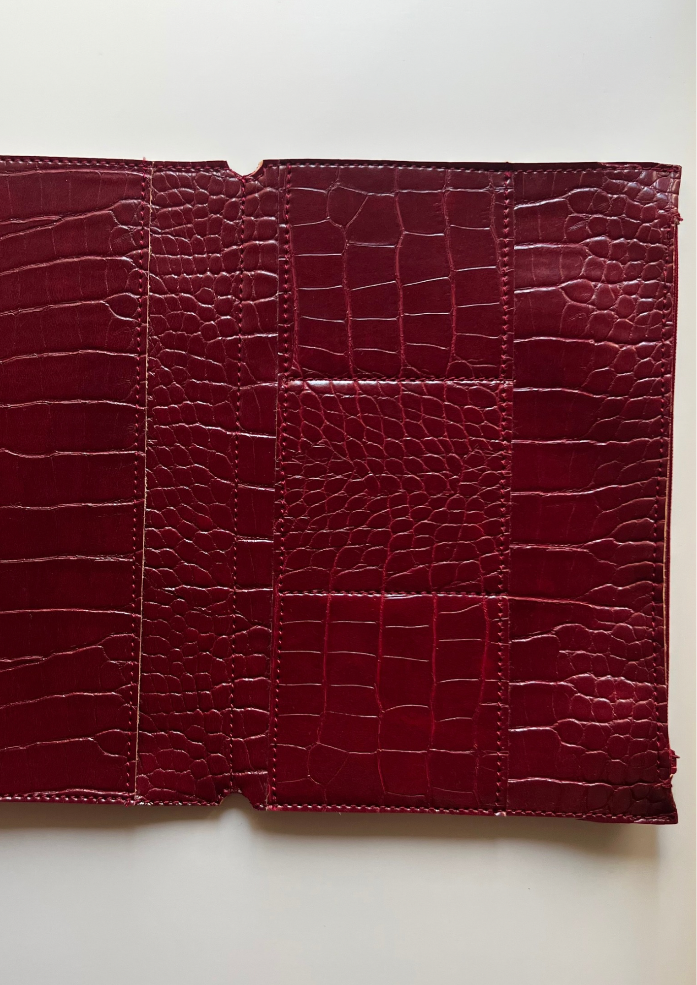 Crocodile portfolio