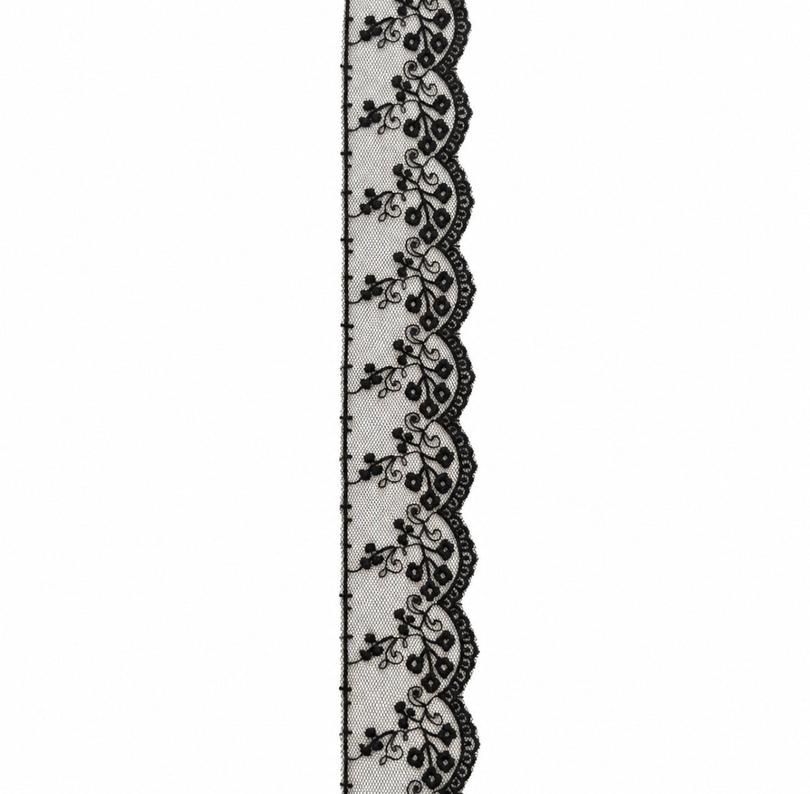 Black Lace 1