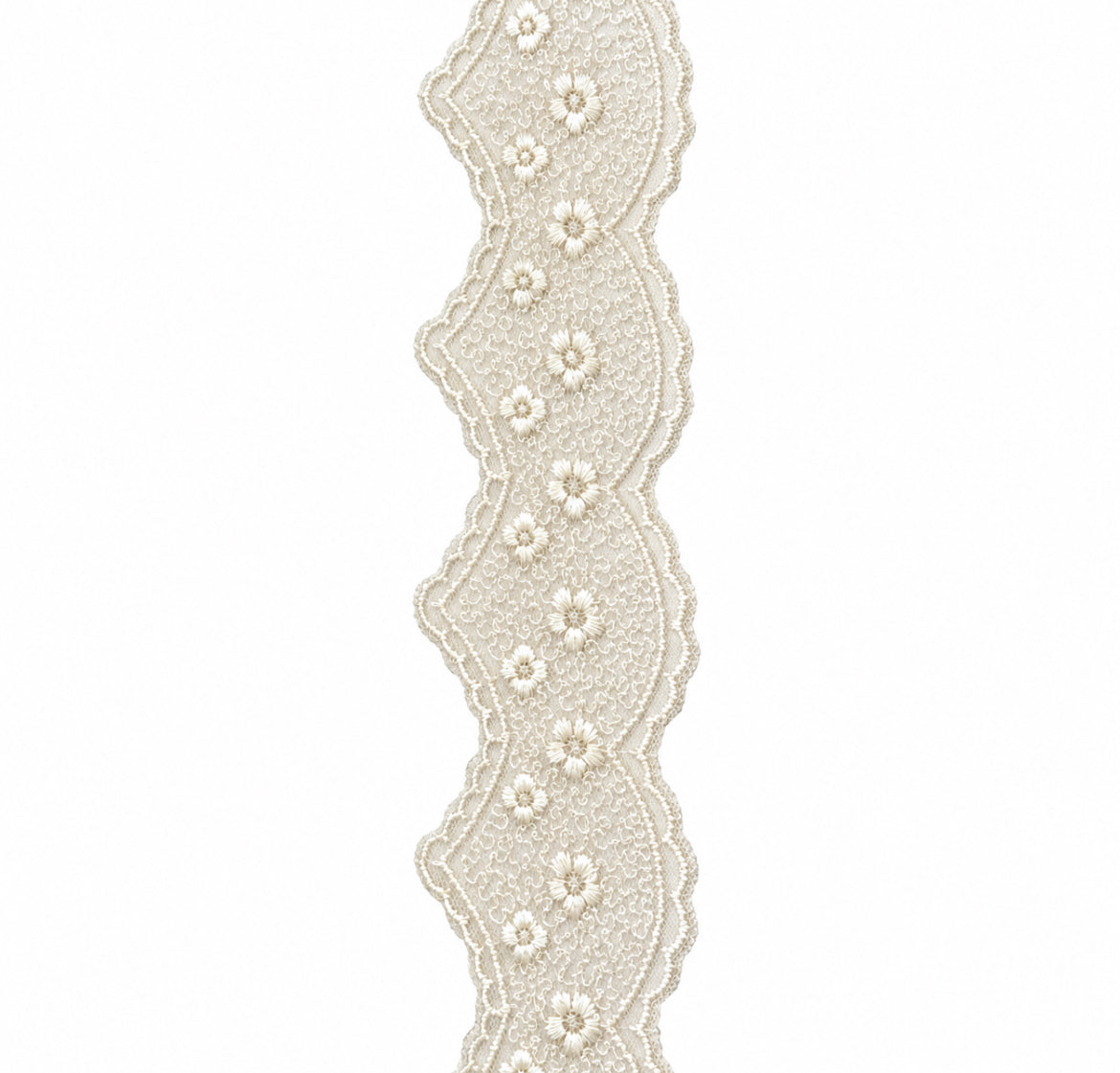 White Lace 4