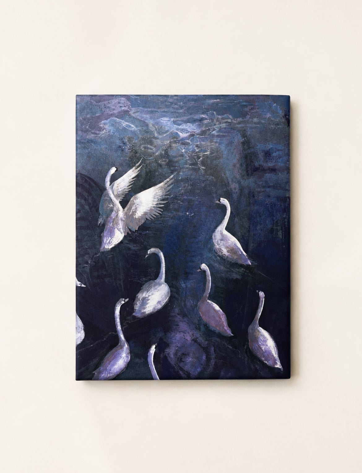 Swans | A6