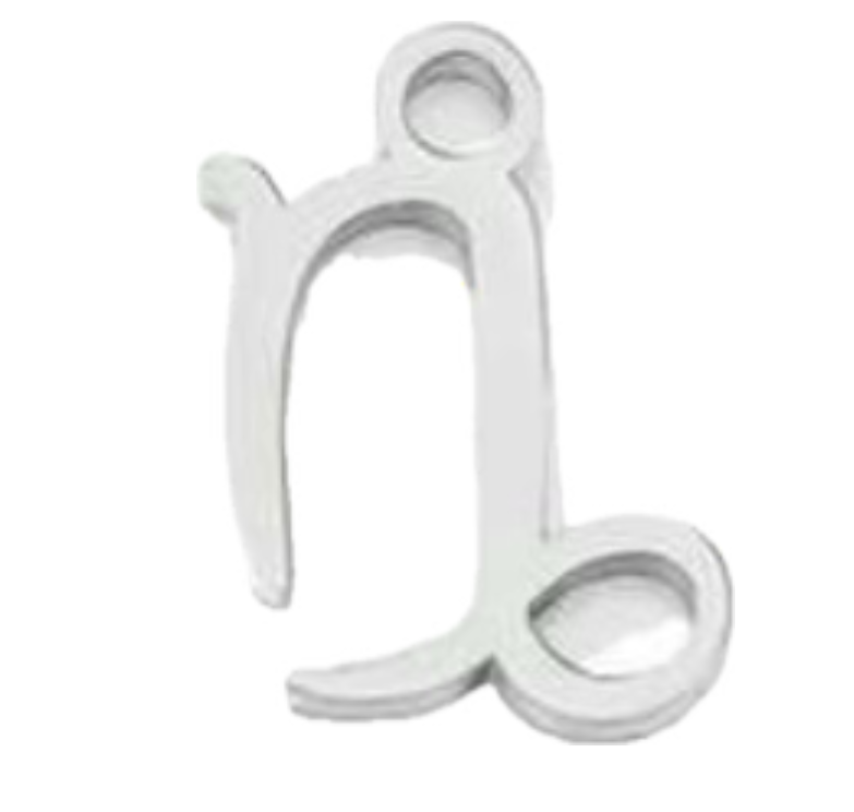 Capricorn silver