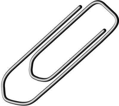 Medium Silver clip