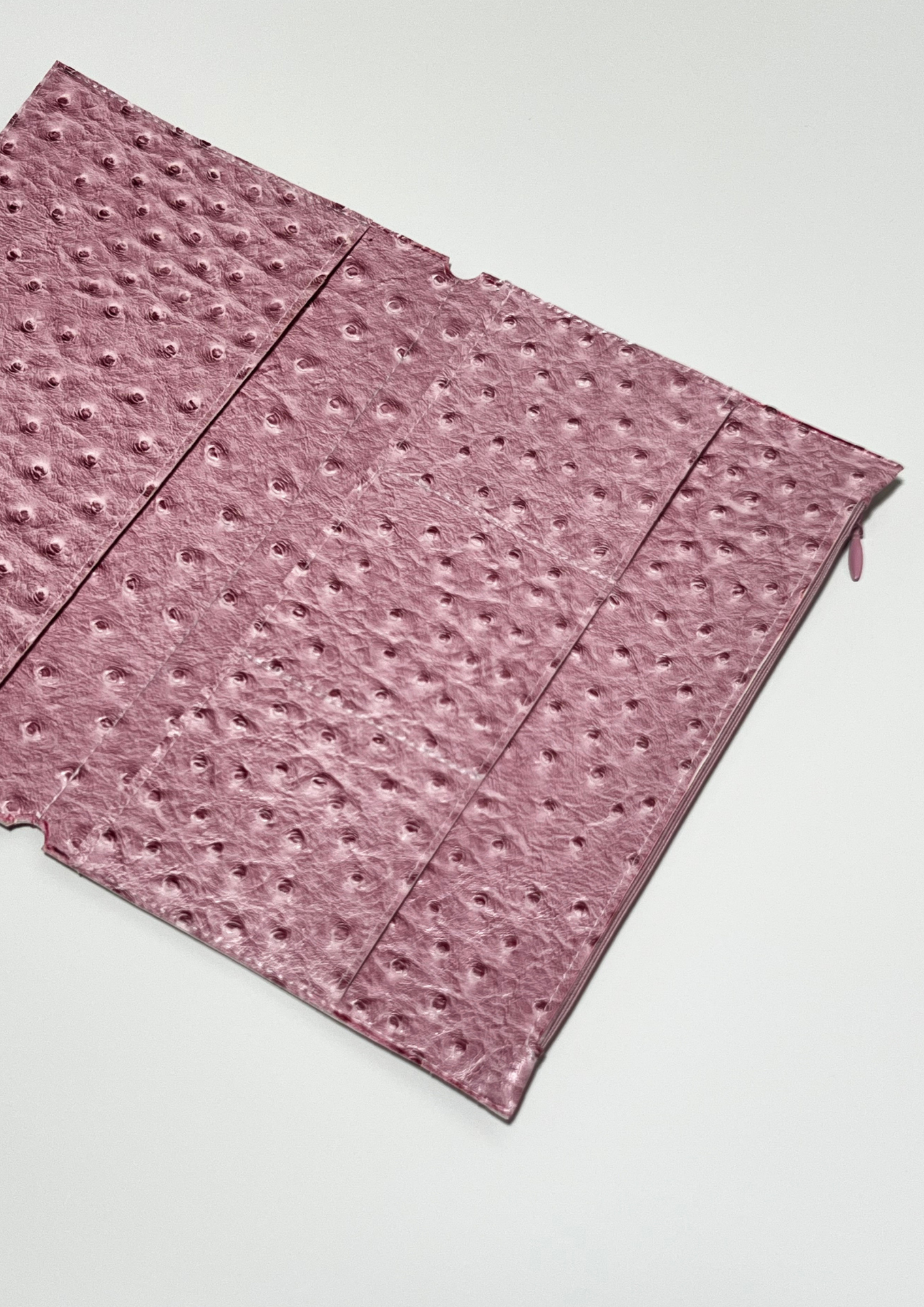 Pink Ostrich Portfolio