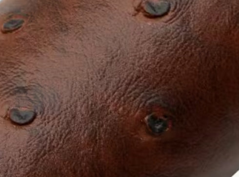 Brown ostrich vegan leather