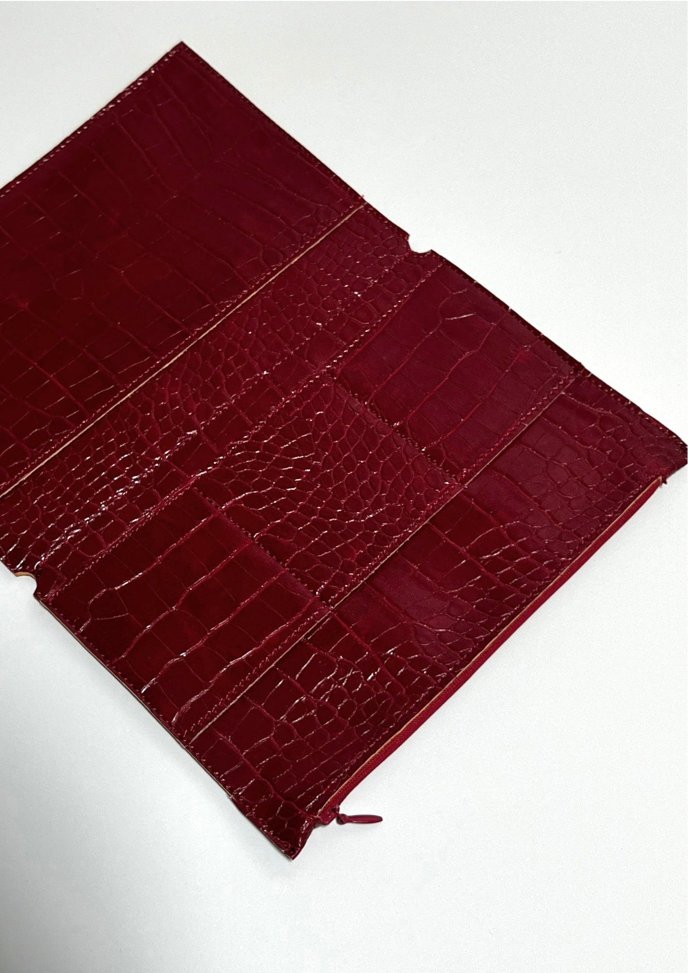 Crocodile portfolio
