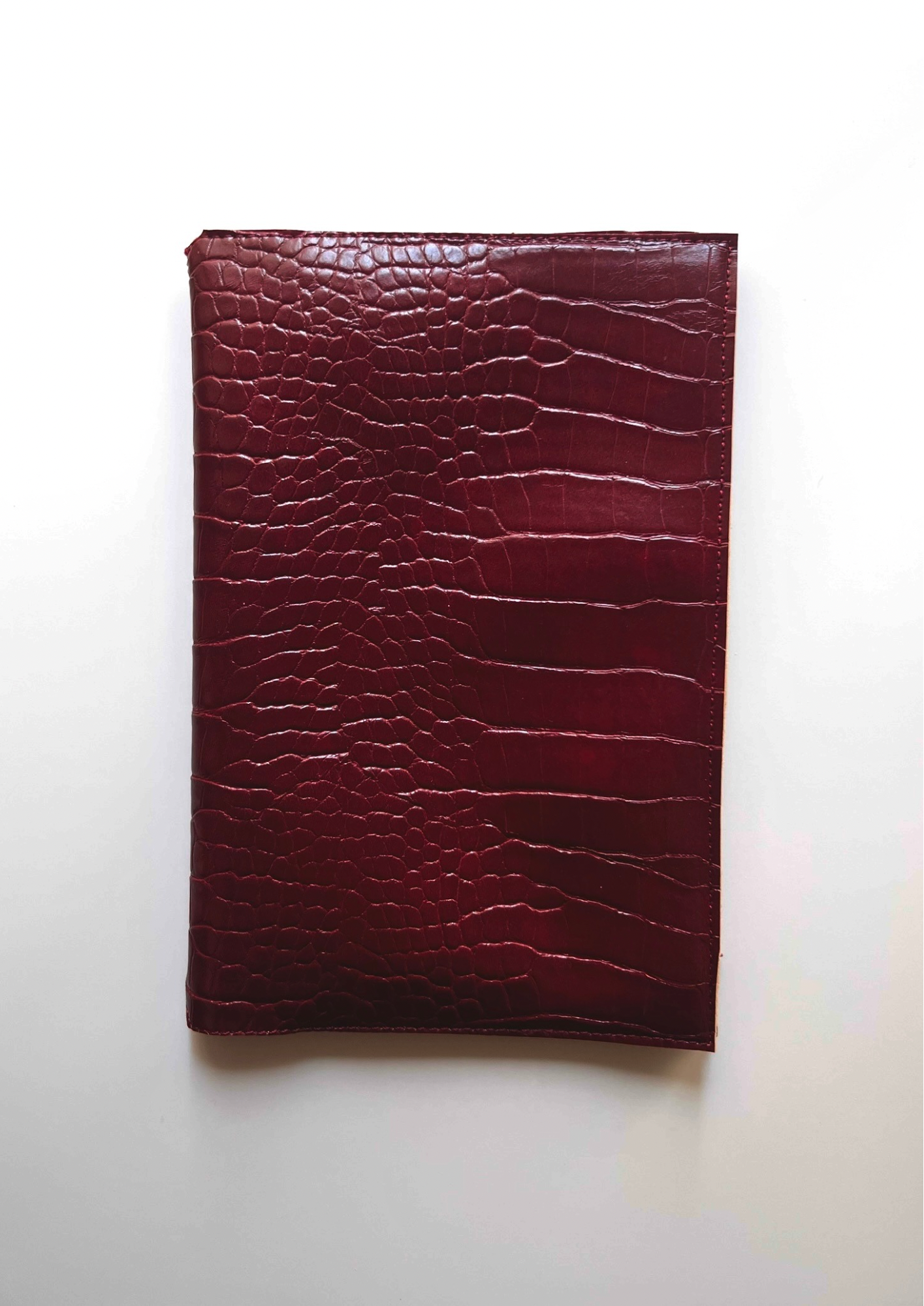 Crocodile portfolio