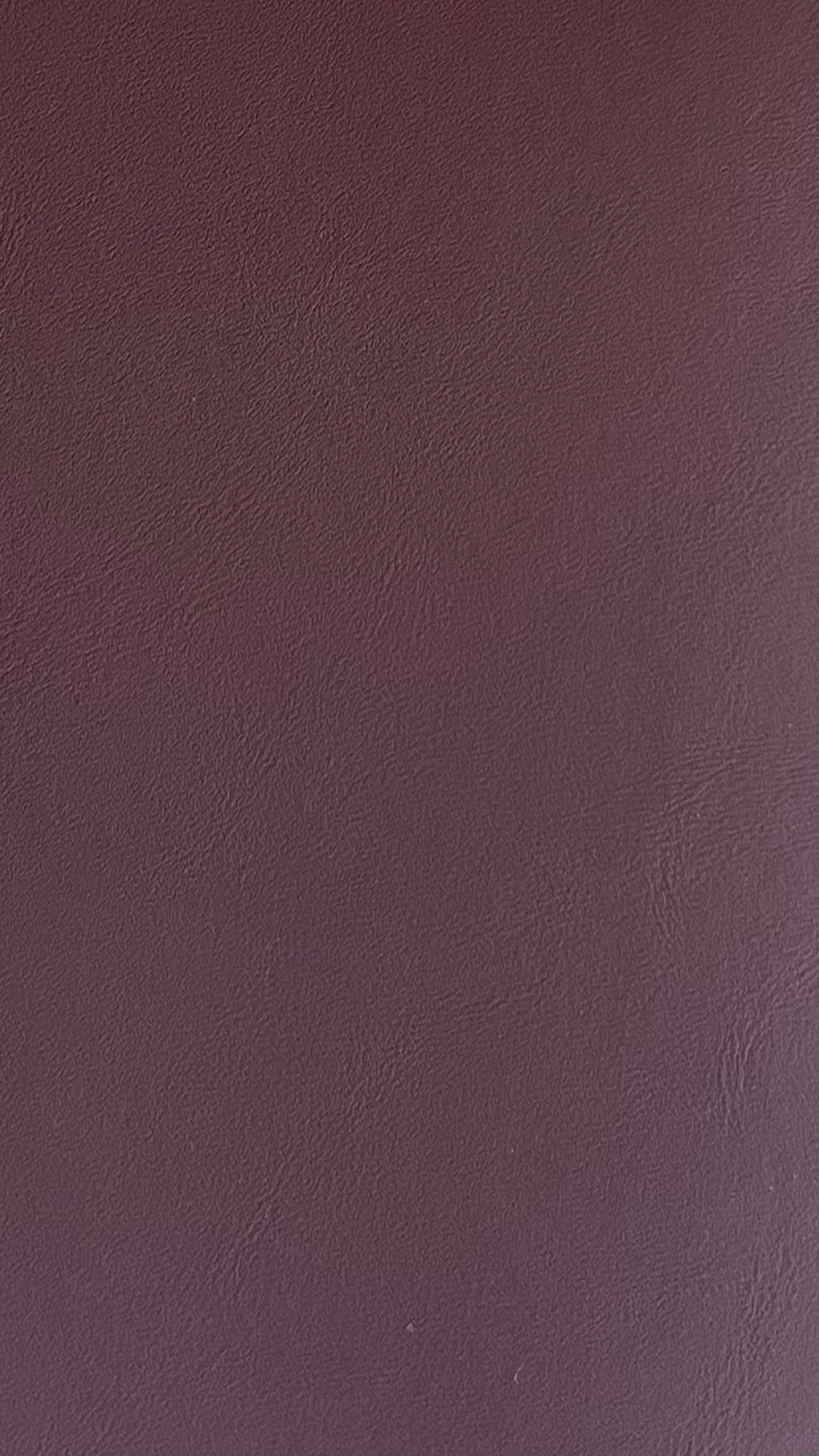 plum Vegan