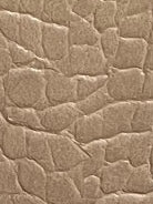 Beige Crocodile Glossy vegan leather