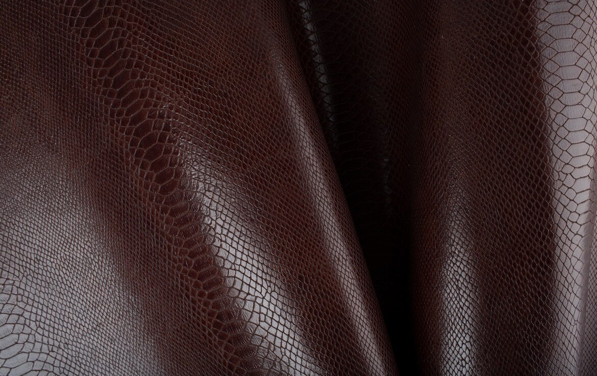 Chocolate brown python