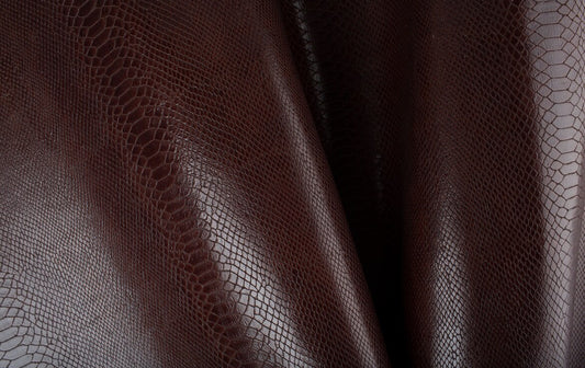 Chocolate brown python