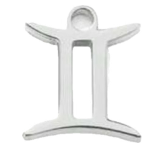 Gemini silver