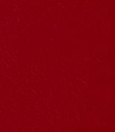 Red vegan leather A4